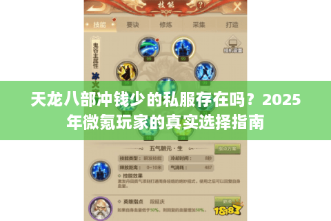 天龙八部冲钱少的私服存在吗？2025年微氪玩家的真实选择指南