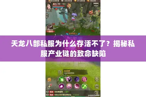 天龙八部私服为什么存活不了?揭秘私服产业链的致命缺陷 天龙八部私服为什么存活不了?揭秘私服产业链的致命缺陷