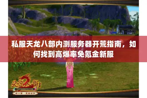 私服天龙八部内测服务器开荒指南,如何找到高爆率免氪金新服 私服天龙八部内测服务器开荒指南,如何找到高爆率免氪金新服