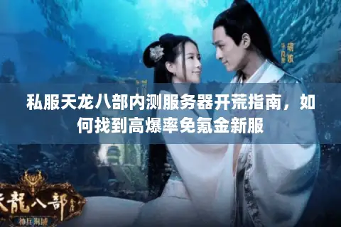 私服天龙八部内测服务器开荒指南,如何找到高爆率免氪金新服 私服天龙八部内测服务器开荒指南,如何找到高爆率免氪金新服
