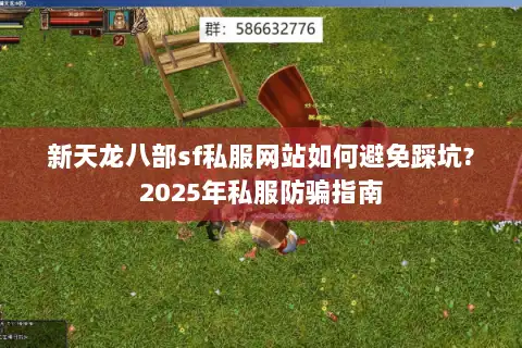 新天龙八部sf私服网站如何避免踩坑?2025年私服防骗指南