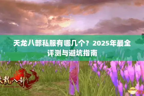 天龙八部私服有哪几个?2025年最全评测与避坑指南 天龙八部私服有哪几个?2025年最全评测与避坑指南