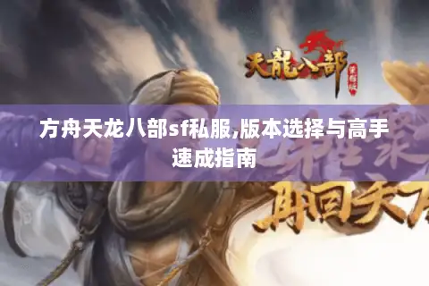 方舟天龙八部sf私服,版本选择与高手速成指南