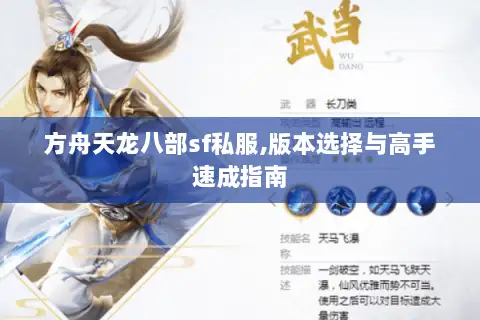 方舟天龙八部sf私服,版本选择与高手速成指南