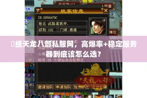 黒纸天龙八部私服网,高爆率+稳定服务器到底该怎么选? 黒纸天龙八部私服网,高爆率+稳定服务器到底该怎么选?