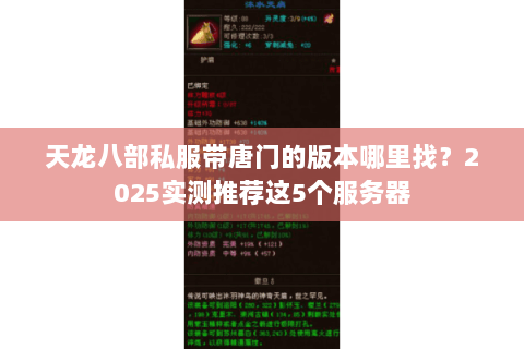 天龙八部私服带唐门的版本哪里找?2025实测推荐这5个服务器 天龙八部私服带唐门的版本哪里找?2025实测推荐这5个服务器