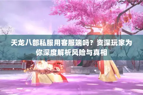 天龙八部私服用客服端吗?资深玩家为你深度解析风险与真相 天龙八部私服用客服端吗?资深玩家为你深度解析风险与真相