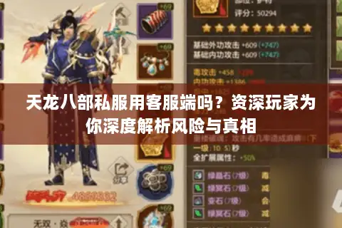 天龙八部私服用客服端吗?资深玩家为你深度解析风险与真相 天龙八部私服用客服端吗?资深玩家为你深度解析风险与真相