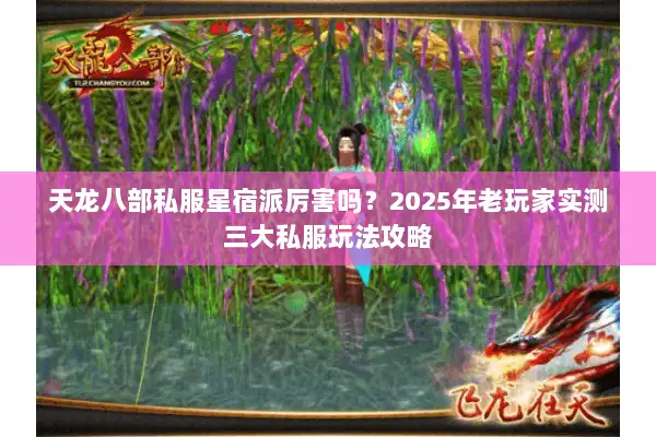 天龙八部私服星宿派厉害吗？2025年老玩家实测三大私服玩法攻略
