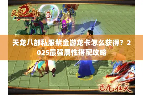天龙八部私服紫金游龙卡怎么获得？2025最强属性搭配攻略