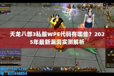 天龙八部3私服WPE代码有哪些？2025年最新漏洞实测解析