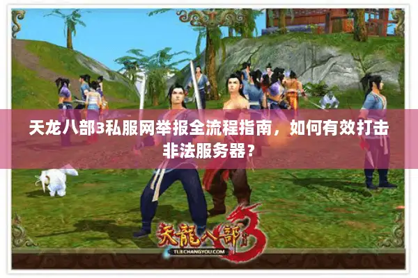 天龙八部3私服网举报全流程指南，如何有效打击非法服务器？