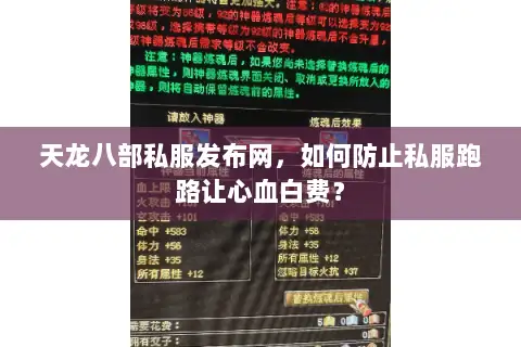天龙八部私服发布网，如何防止私服跑路让心血白费？