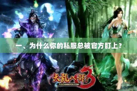 一、为什么你的私服总被官方盯上？