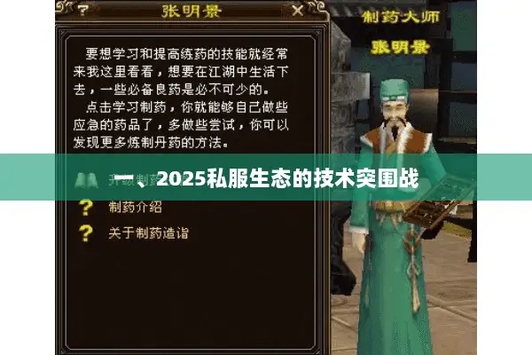 一、2025私服生态的技术突围战 一、2025私服生态的技术突围战