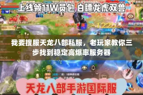我要搜服天龙八部私服,老玩家教你三步找到稳定高爆率服务器 我要搜服天龙八部私服,老玩家教你三步找到稳定高爆率服务器