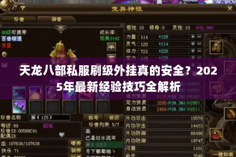 天龙八部私服刷级外挂真的安全？2025年最新经验技巧全解析