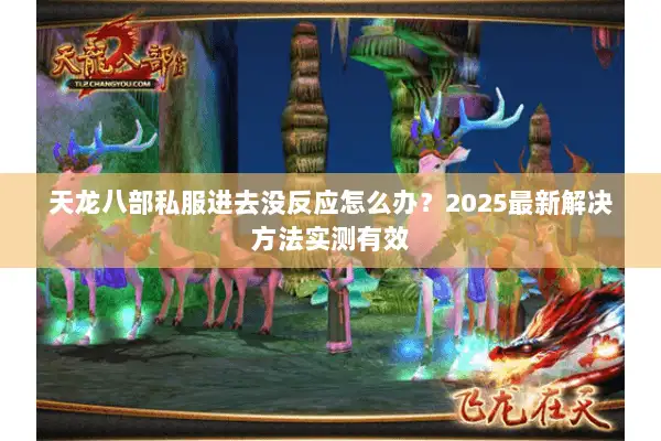 天龙八部私服进去没反应怎么办?2025最新解决方法实测有效 天龙八部私服进去没反应怎么办?2025最新解决方法实测有效