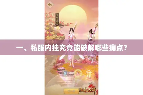 一、私服内挂究竟能破解哪些痛点? 一、私服内挂究竟能破解哪些痛点?