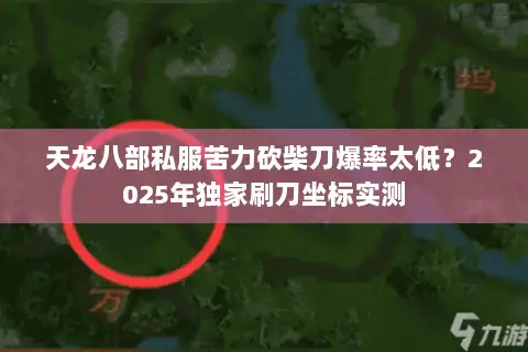 天龙八部私服苦力砍柴刀爆率太低？2025年独家刷刀坐标实测