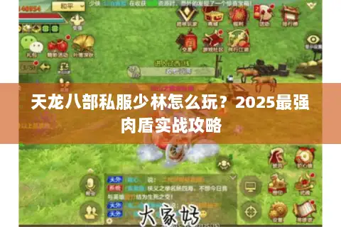 天龙八部私服少林怎么玩?2025最强肉盾实战攻略 天龙八部私服少林怎么玩?2025最强肉盾实战攻略