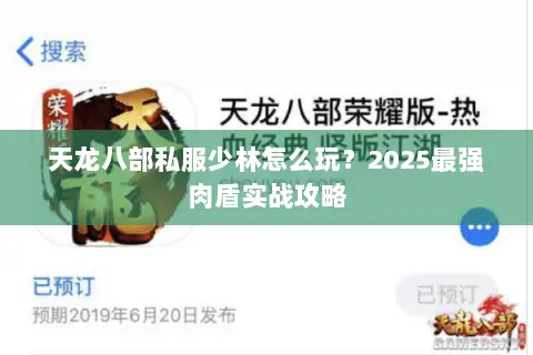 天龙八部私服少林怎么玩?2025最强肉盾实战攻略 天龙八部私服少林怎么玩?2025最强肉盾实战攻略