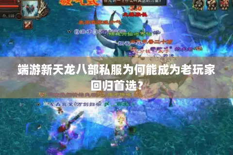 端游新天龙八部私服为何能成为老玩家回归首选? 端游新天龙八部私服为何能成为老玩家回归首选?