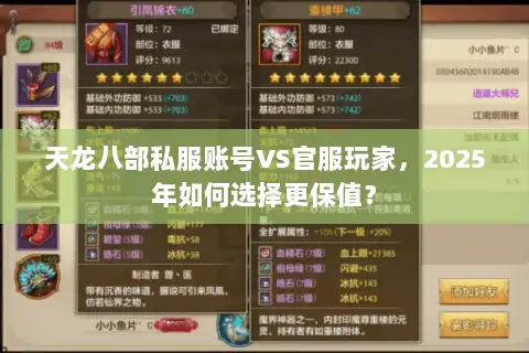 天龙八部私服账号VS官服玩家，2025年如何选择更保值？