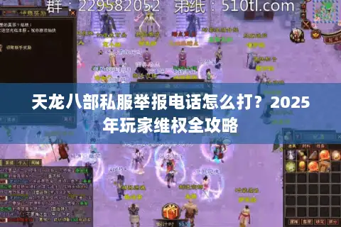 天龙八部私服举报电话怎么打？2025年玩家维权全攻略