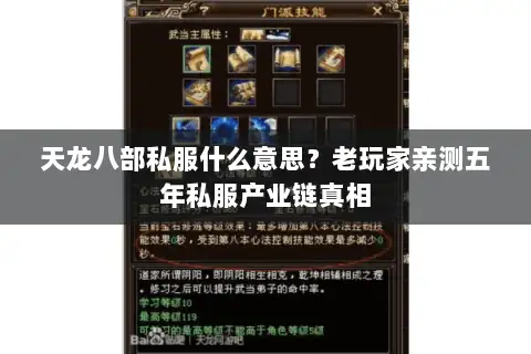天龙八部私服什么意思?老玩家亲测五年私服产业链真相 天龙八部私服什么意思?老玩家亲测五年私服产业链真相