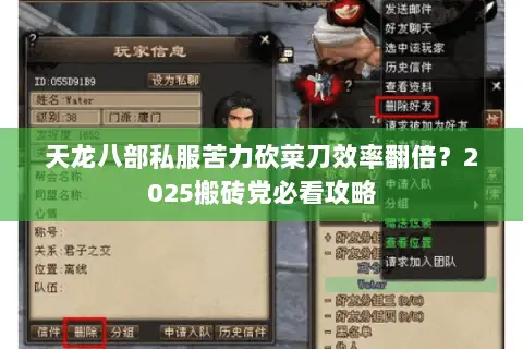 天龙八部私服苦力砍菜刀效率翻倍？2025搬砖党必看攻略