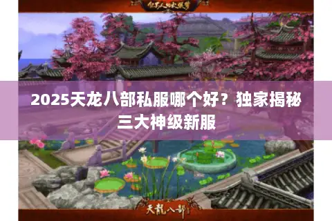 2025天龙八部私服哪个好？独家揭秘三大神级新服