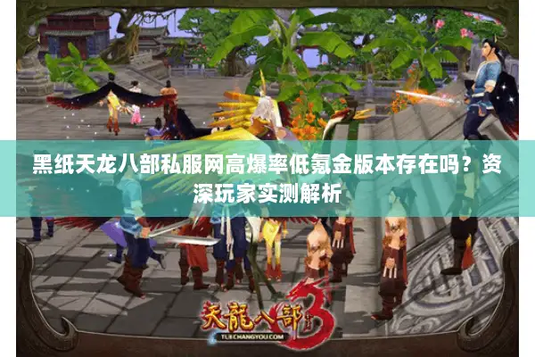 黑纸天龙八部私服网高爆率低氪金版本存在吗？资深玩家实测解析