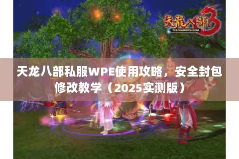 天龙八部私服WPE使用攻略,安全封包修改教学(2025实测版) 天龙八部私服WPE使用攻略,安全封包修改教学(2025实测版)