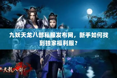九妖天龙八部私服发布网，新手如何找到独家福利服？