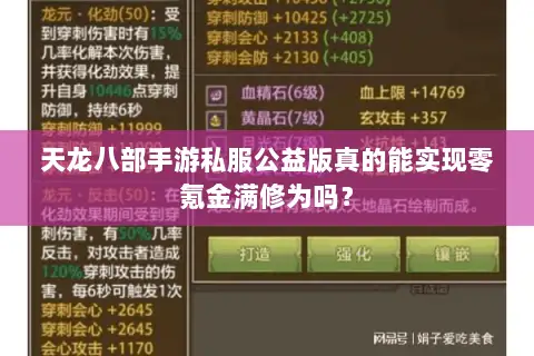 天龙八部手游私服公益版真的能实现零氪金满修为吗？