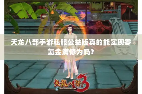 天龙八部手游私服公益版真的能实现零氪金满修为吗？