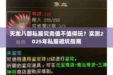 天龙八部私服究竟值不值得玩?实测2025年私服避坑指南 天龙八部私服究竟值不值得玩?实测2025年私服避坑指南