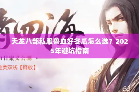 天龙八部私服兽血好冬瓜怎么选？2025年避坑指南