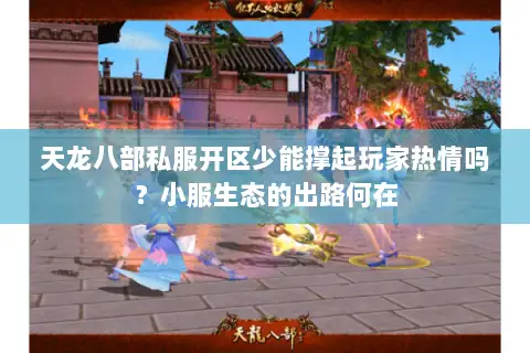 天龙八部私服开区少能撑起玩家热情吗？小服生态的出路何在