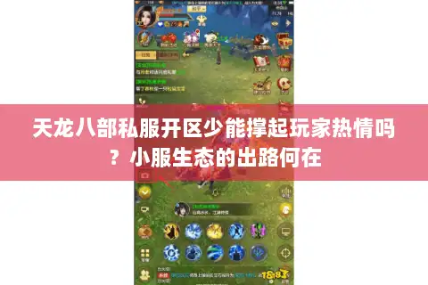 天龙八部私服开区少能撑起玩家热情吗？小服生态的出路何在