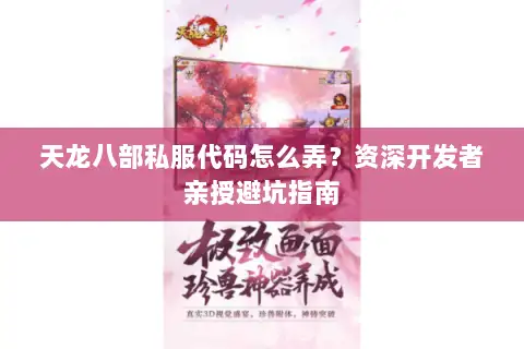 天龙八部私服代码怎么弄？资深开发者亲授避坑指南