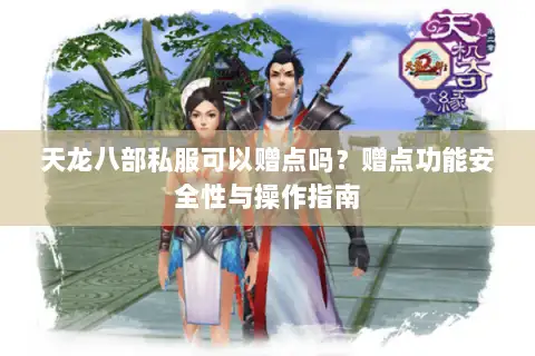 天龙八部私服可以赠点吗?赠点功能安全性与操作指南 天龙八部私服可以赠点吗?赠点功能安全性与操作指南