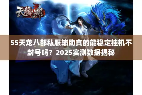55天龙八部私服辅助真的能稳定挂机不封号吗？2025实测数据揭秘