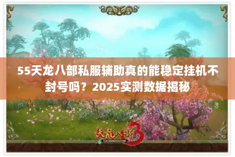 55天龙八部私服辅助真的能稳定挂机不封号吗？2025实测数据揭秘