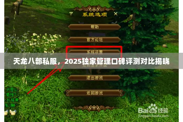天龙八部私服,2025独家管理口碑评测对比揭晓 天龙八部私服,2025独家管理口碑评测对比揭晓