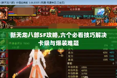 新天龙八部SF攻略,六个必看技巧解决卡级与爆装难题 新天龙八部SF攻略,六个必看技巧解决卡级与爆装难题