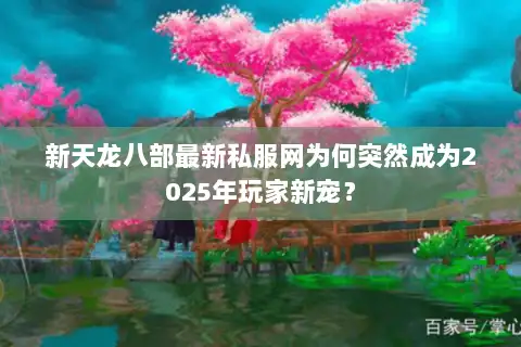 新天龙八部最新私服网为何突然成为2025年玩家新宠？
