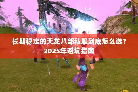 长期稳定的天龙八部私服到底怎么选？2025年避坑指南