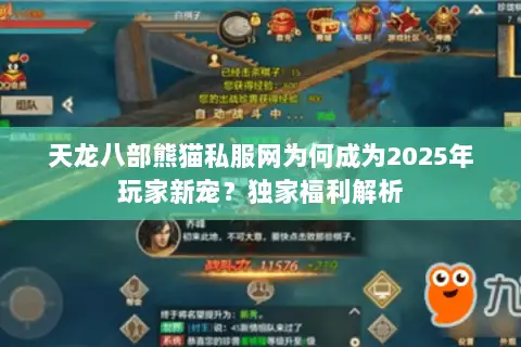 天龙八部熊猫私服网为何成为2025年玩家新宠？独家福利解析